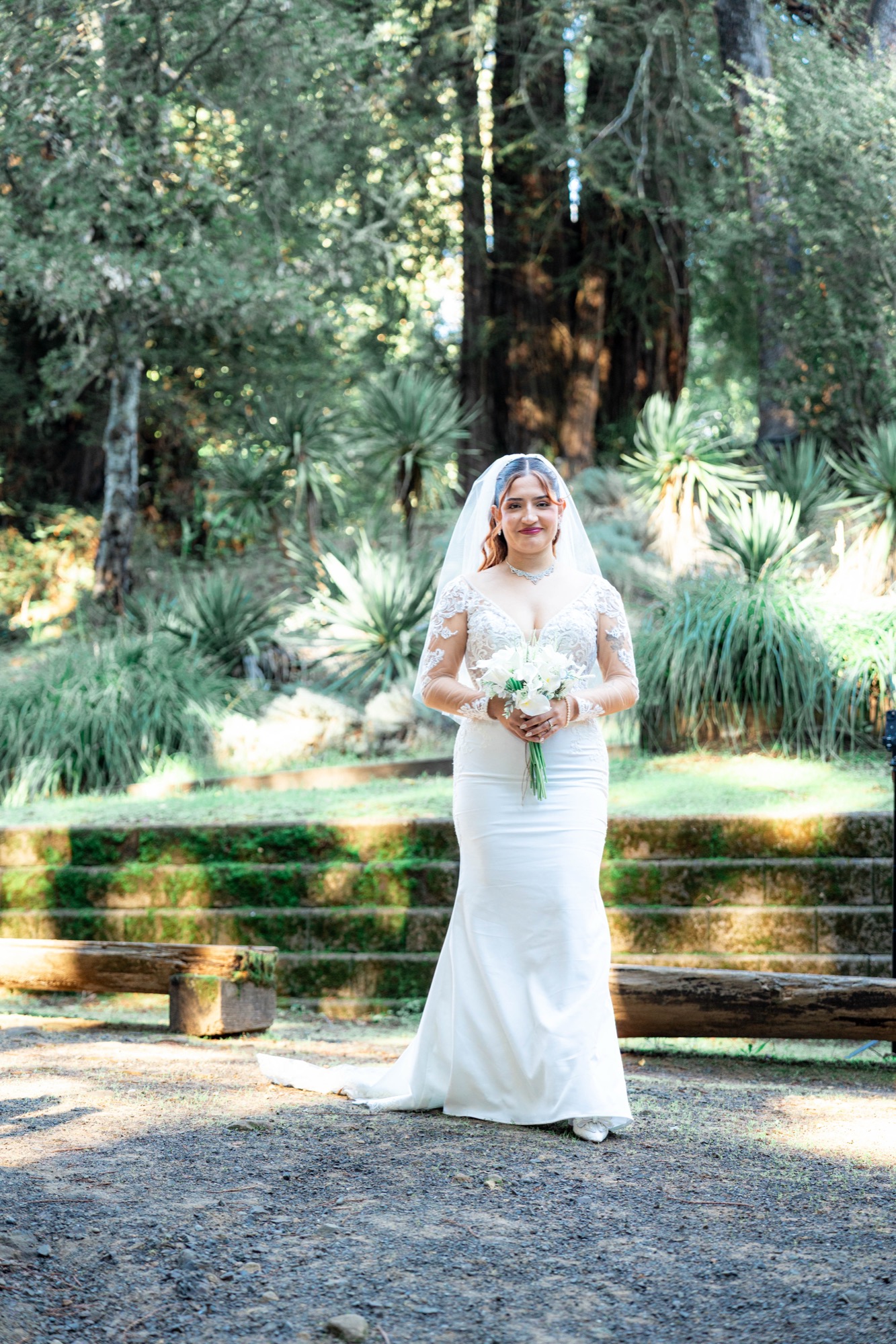 Mt. Madonna Redwoods wedding photo